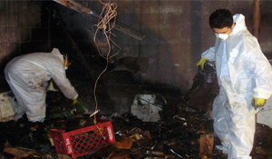 Fire cleanup long island