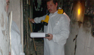 mold flood cleanup long island